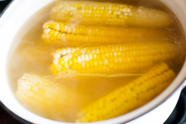 Similar image 1194488