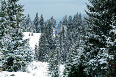 Similar image 1194497