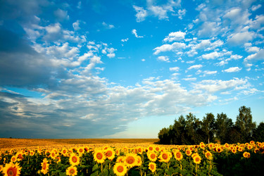 Similar image 1194498