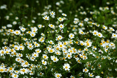 Similar image 1194504