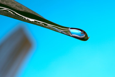 Similar image 1194505