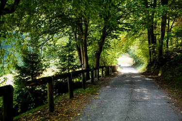 Similar image 1194524