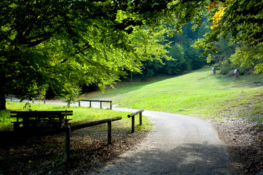 Similar image 1194528