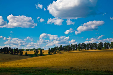 Similar image 1194532