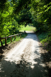 Similar image 1194555