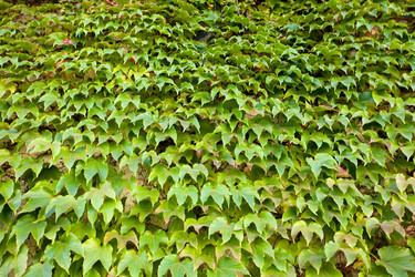 Similar image 1194568