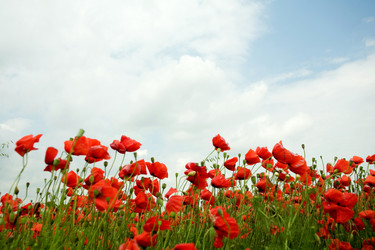 Similar image 1194572