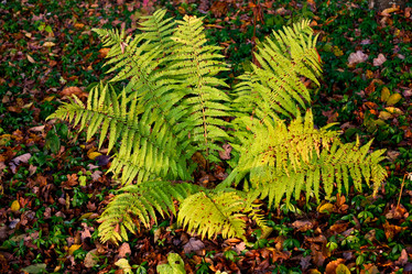 Similar image 1194573