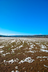 Similar image 1194589