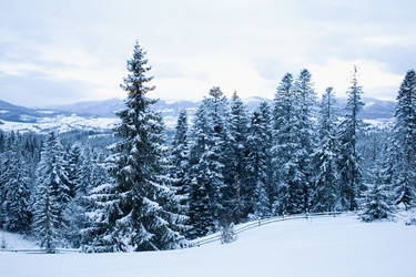 Similar image 1194618