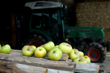 Similar image 1194624