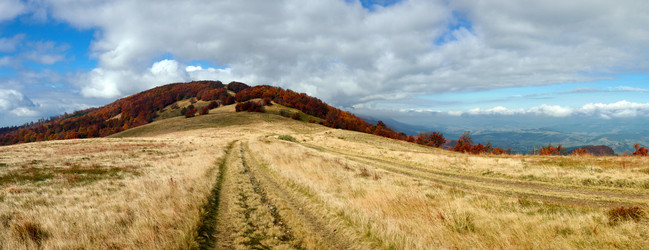 Similar image 1194640