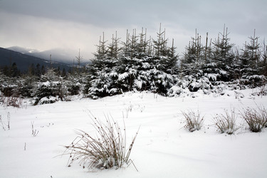 Similar image 1194657