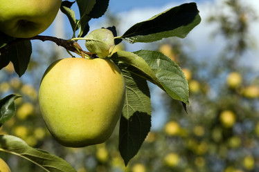 Similar image 1194662