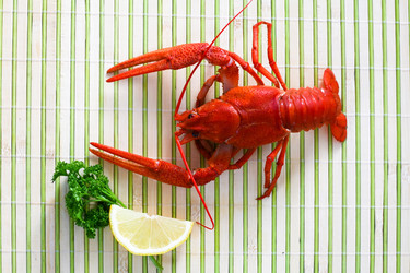 Similar image 1194663