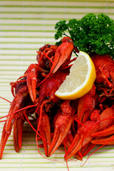 Similar image 1194667