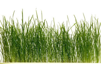 Similar image 1194685