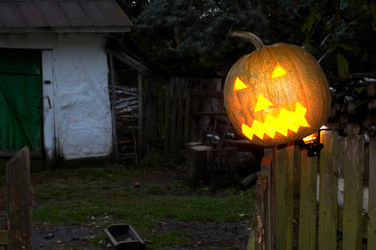 Similar image 1194720