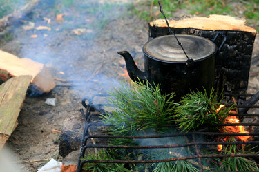 Similar image 1194722