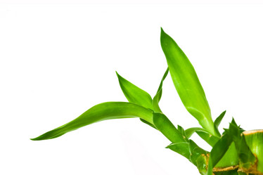 Similar image 1194748