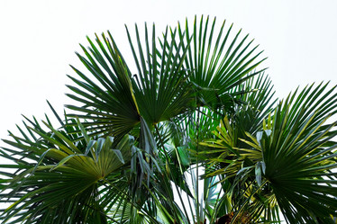 Similar image 1194755