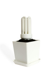 Similar image 1194768