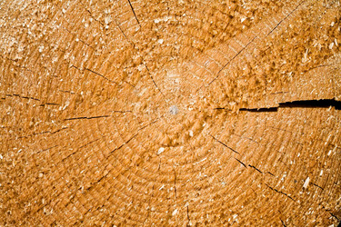 Similar image 1194780