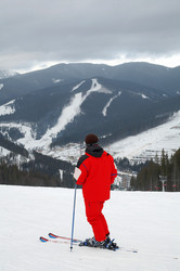 Similar image 1194800