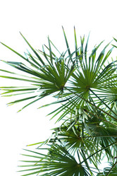 Similar image 1194802