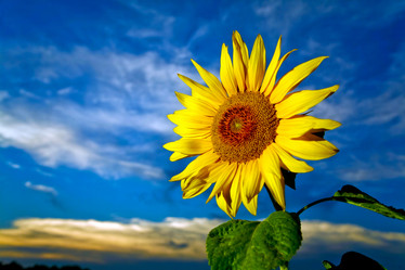 Similar image 1194805