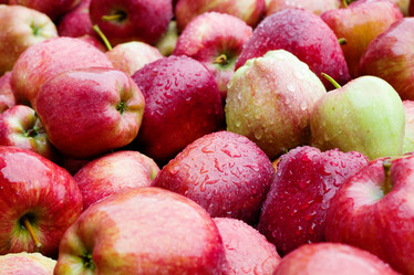 Similar image 1194811