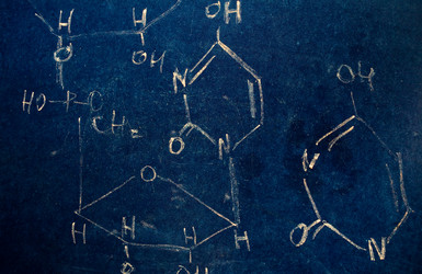 Similar image 1194836