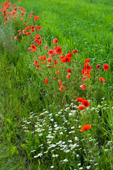 Similar image 1194862