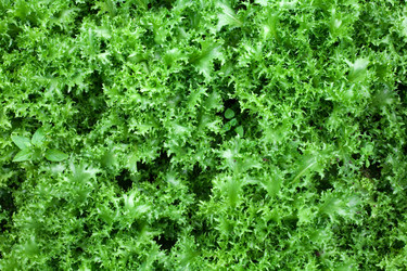 Similar image 1194869