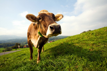 Similar image 1194871