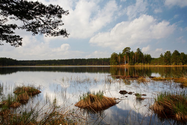 Similar image 1194877