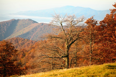 Similar image 1194883