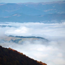 Similar image 1194884