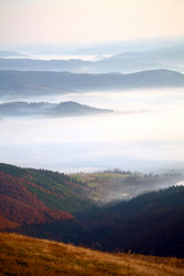 Similar image 1194885