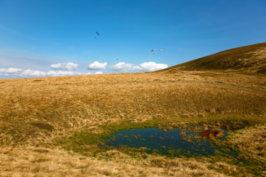 Similar image 1194887