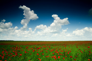 Similar image 1194888