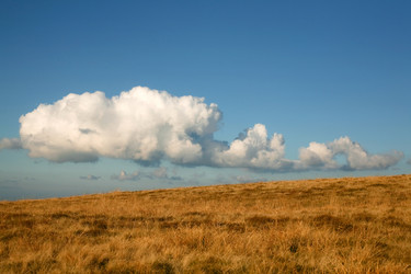 Similar image 1194893