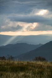 Similar image 1194902