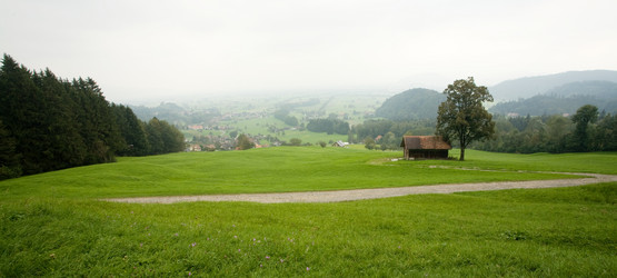 Similar image 1194907