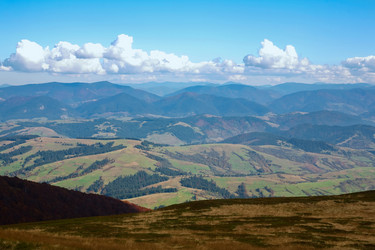 Similar image 1194909