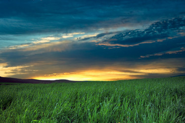 Similar image 1194910