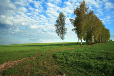 Similar image 1194915