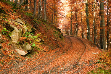 Similar image 1194922