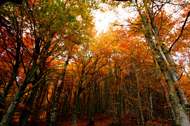 Similar image 1194933