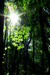 Similar image 1194953